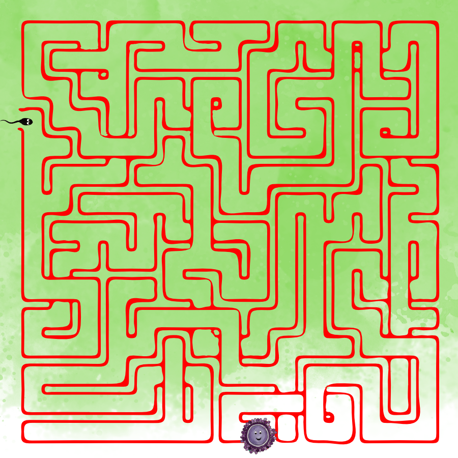 Bludiště – pomozte spermii dostat se k oocytu